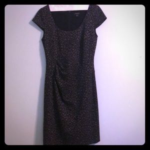 Ann Taylor Dress